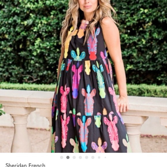 Sheridan French Colorful zebra  Maxi Dress - Picture 2 of 10